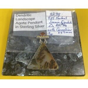 One of a Kind Dendritic Landscape Agate Triangle in Our Sterling Silver Pendant